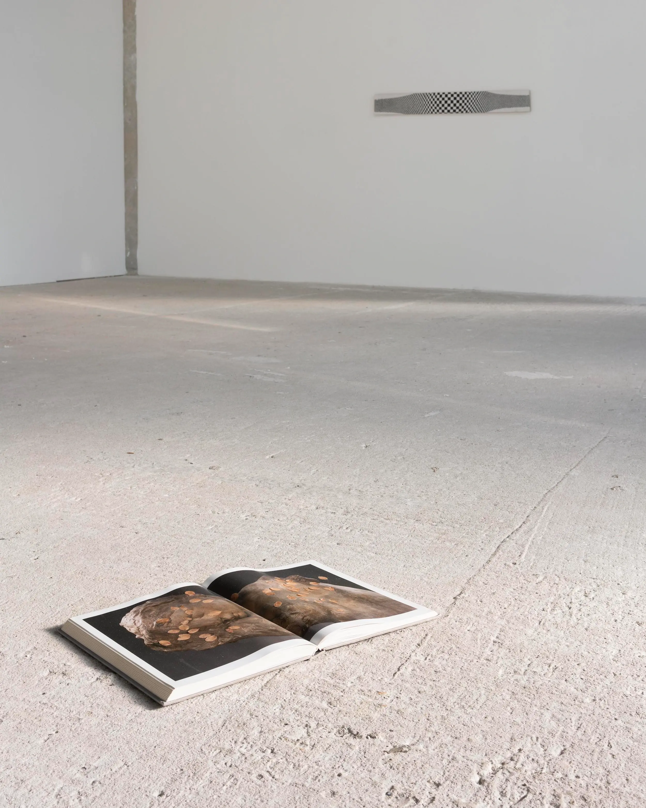 Land & History - Image 5
