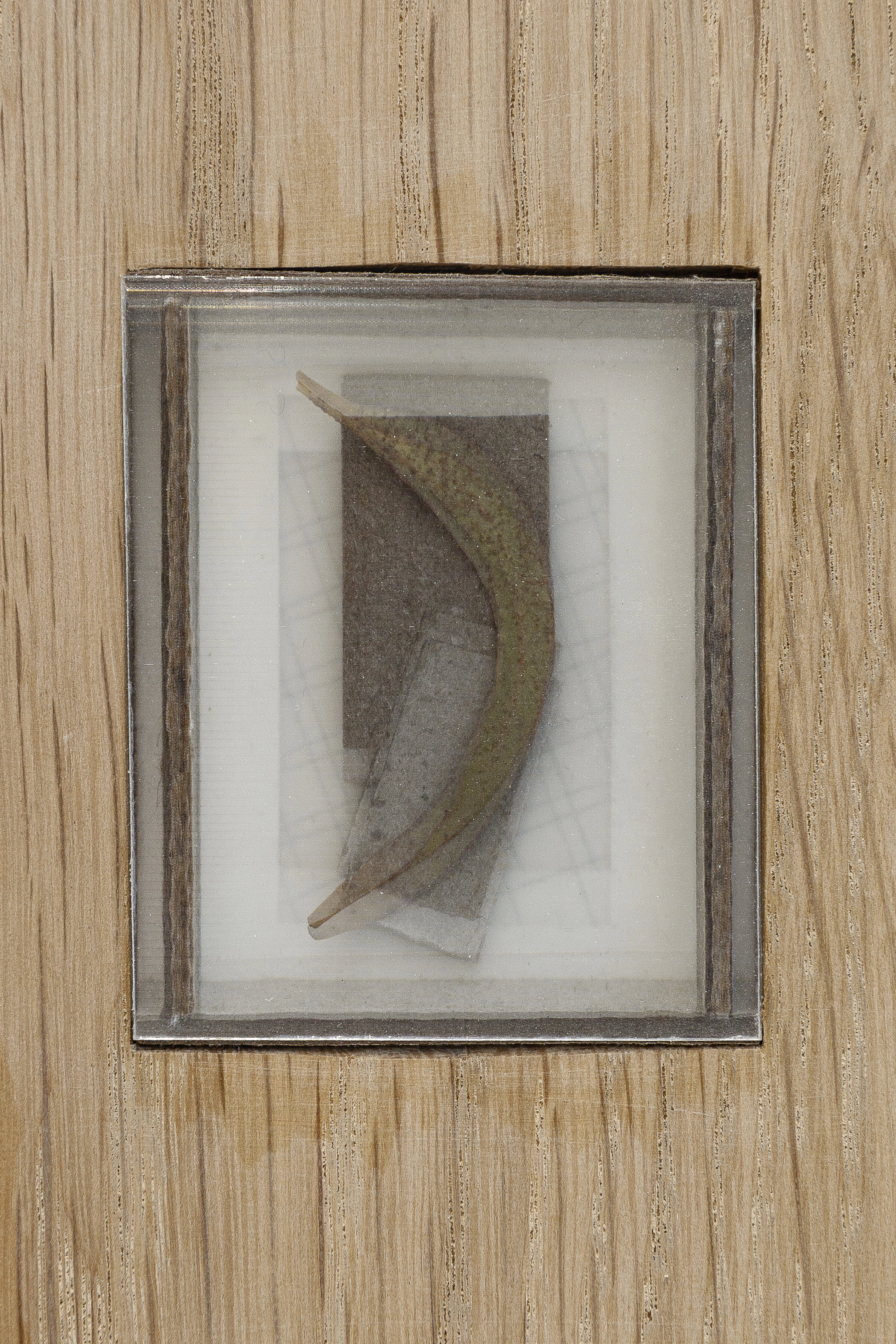 Superposition - Image 4